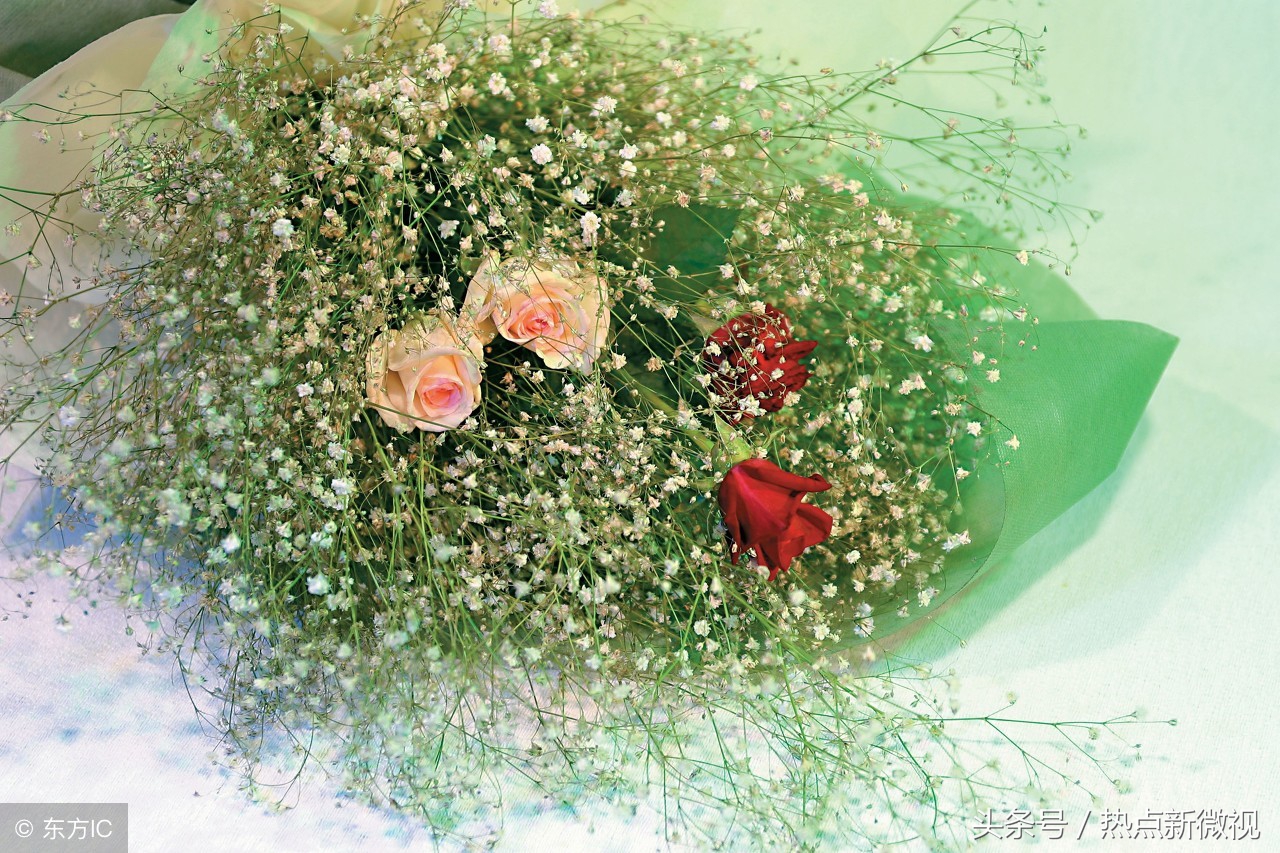 花语大全99种花语你需要了解,关于每种花的浪漫花语