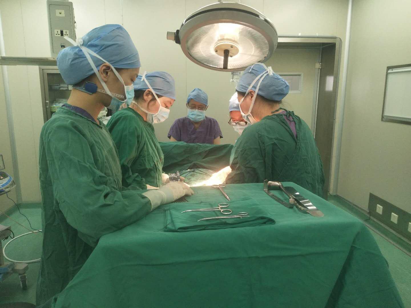 2米饭桶遇现实版滚蛋吧肿瘤君,滚蛋吧肿瘤君真人版