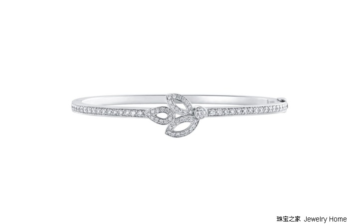 花草丛中，最爱的还是那朵LilyCluster