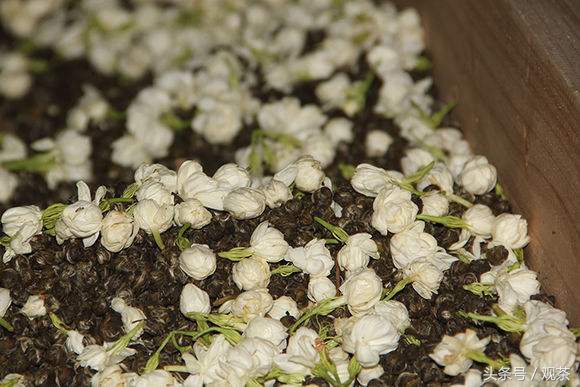 老字号吴裕泰茶庄历史,吴裕泰茶叶中华老字号