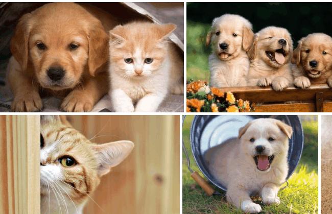 云存储无线监控摄像头,监控摄像头推荐云储存