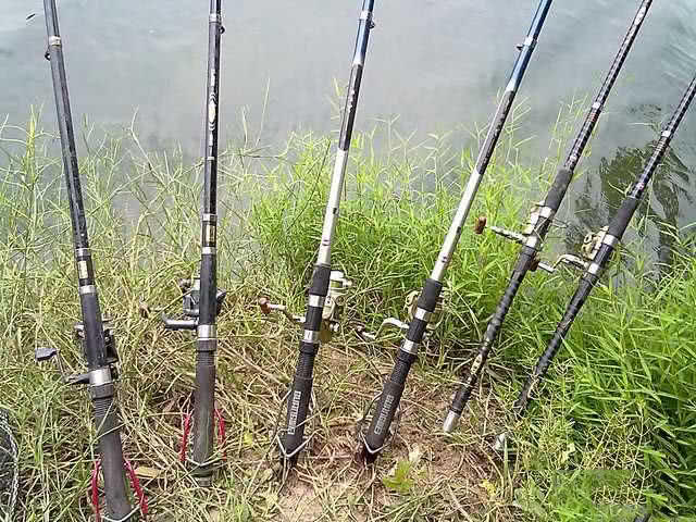 钓到野生甲鱼有什么预兆,钓到一只野生甲鱼视频