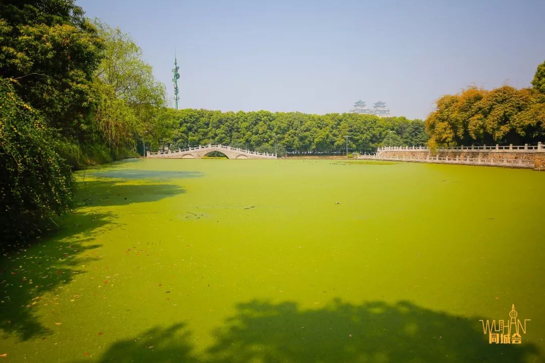 武纺艺术展,武纺服装表演