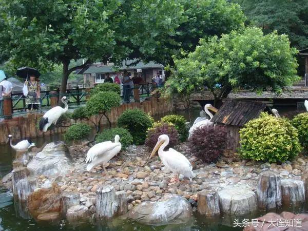 大连旅游环线巴士线路图最新,大连观光巴士旅游环路西线