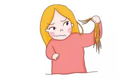 中医脱发专家,中医怎么治疗脱发求药方