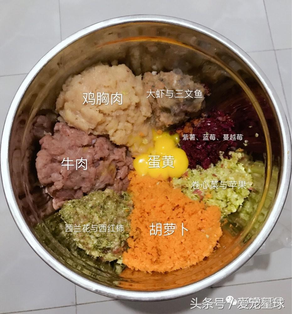 如何自制幼犬去泪痕狗粮视频教程,怎么给狗自制狗粮器