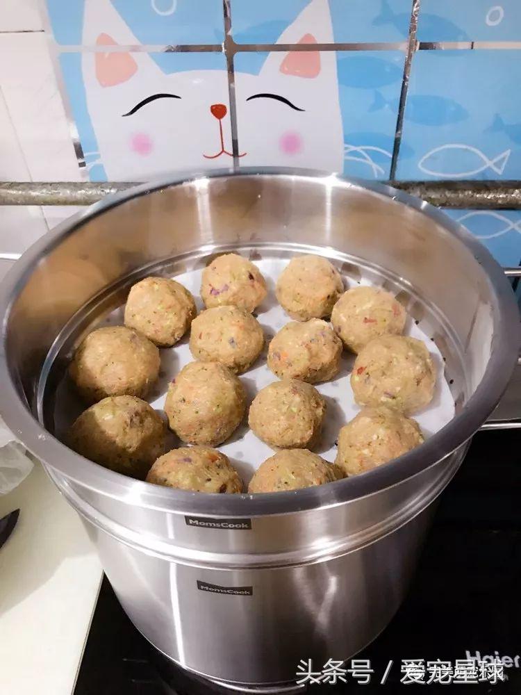 如何自制幼犬去泪痕狗粮视频教程,怎么给狗自制狗粮器