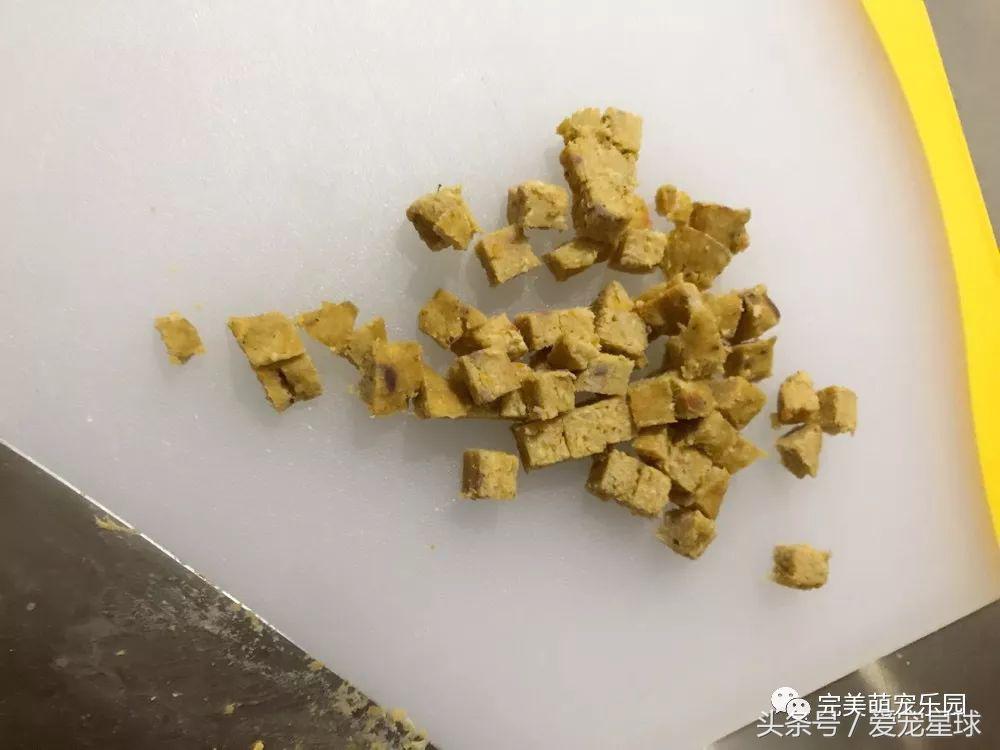 如何自制幼犬去泪痕狗粮视频教程,怎么给狗自制狗粮器