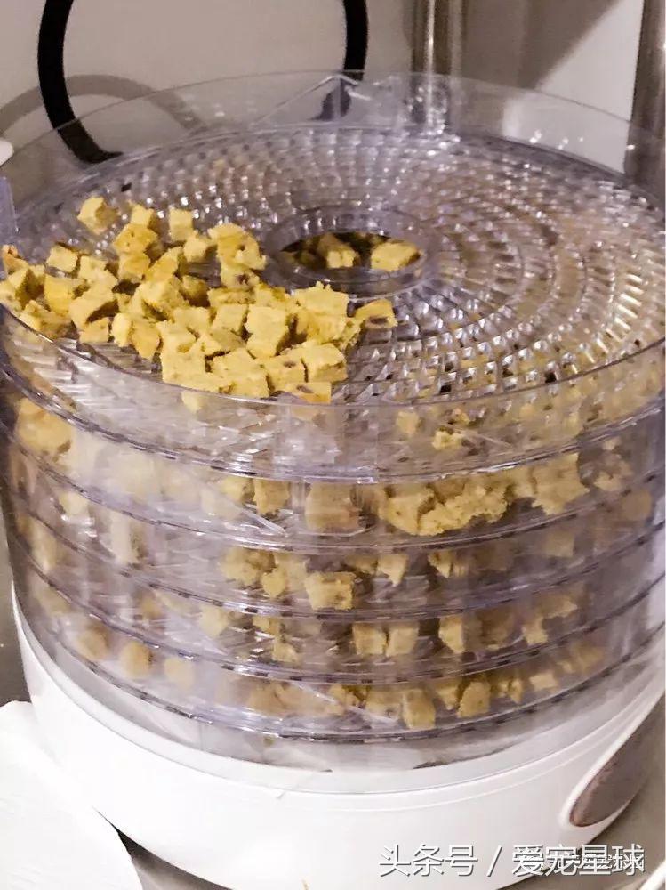 如何自制幼犬去泪痕狗粮视频教程,怎么给狗自制狗粮器