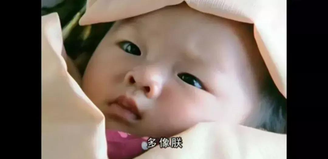 这些一言不合就开车上演羞耻play的台词,我把考驾照提上了日程