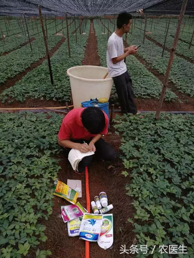 这家企业新模式，让农资店老板收入翻几倍加盟还送核心技术！