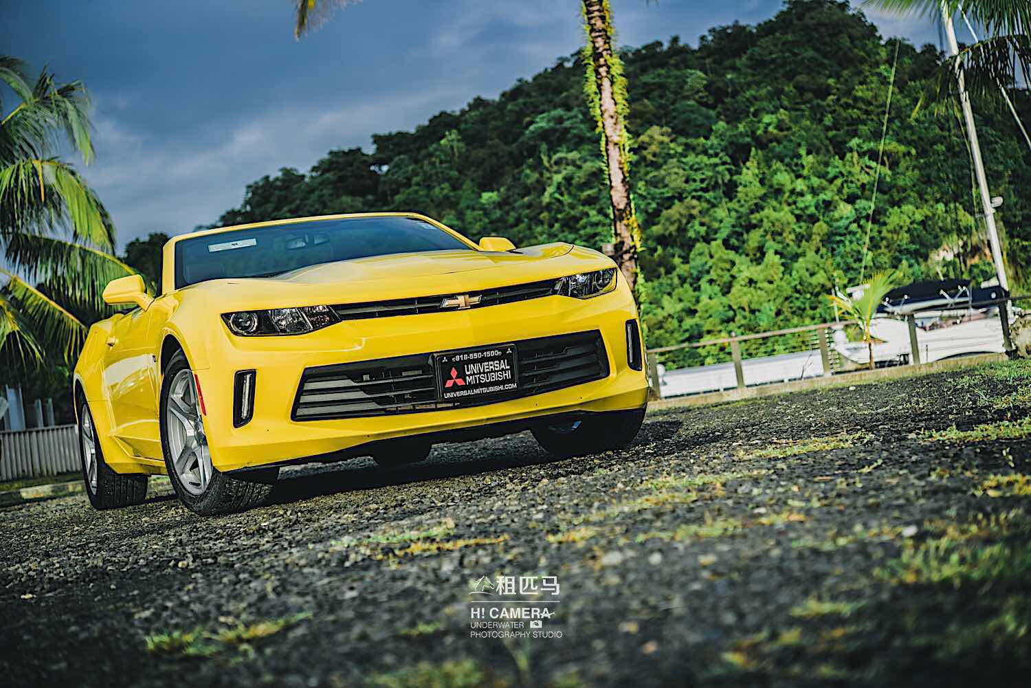 距离中国4小时的落地签海岛国家帕劳怎么玩？果冻的蓝色大海！