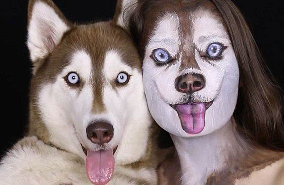 西伯利亚雪橇犬和哈士奇的区别,西伯利亚雪橇犬与哈士奇一样么