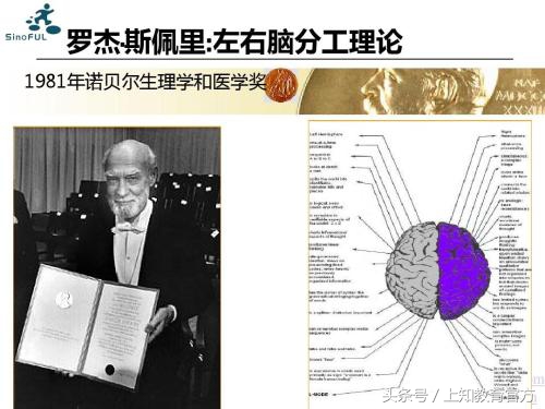 儿童教育怎么投资,幼儿投资项目有哪些