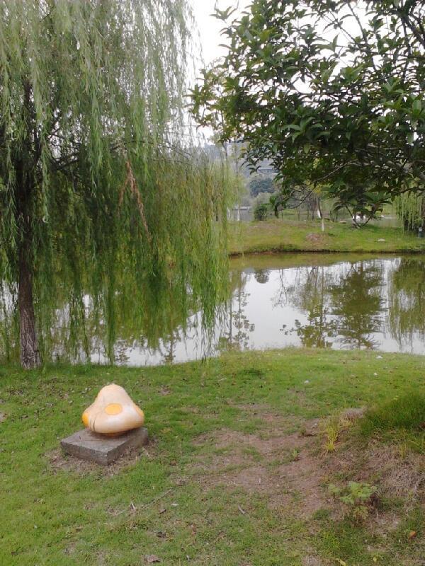 我的母校，位于四川绵阳得西南科技大学，那些迷人得景色