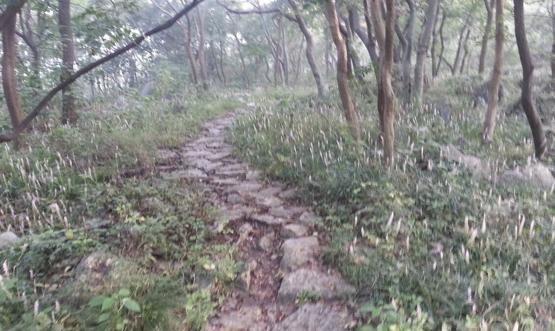 琅琊山不在山东吗,琅琊山在临沂吗