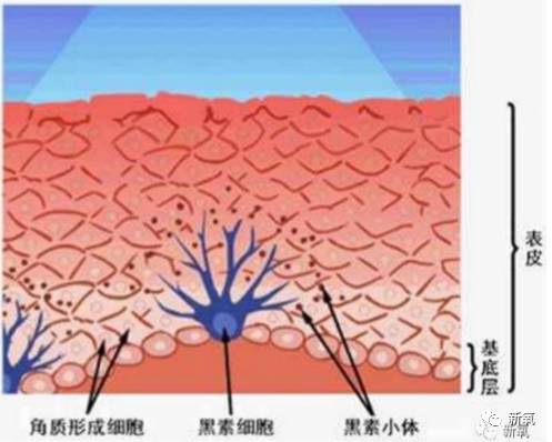 孙怡涂粉,孙怡裹腿美白大法