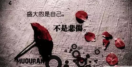 微信签名精辟句子6个字大全,一句话微信签名精辟句子