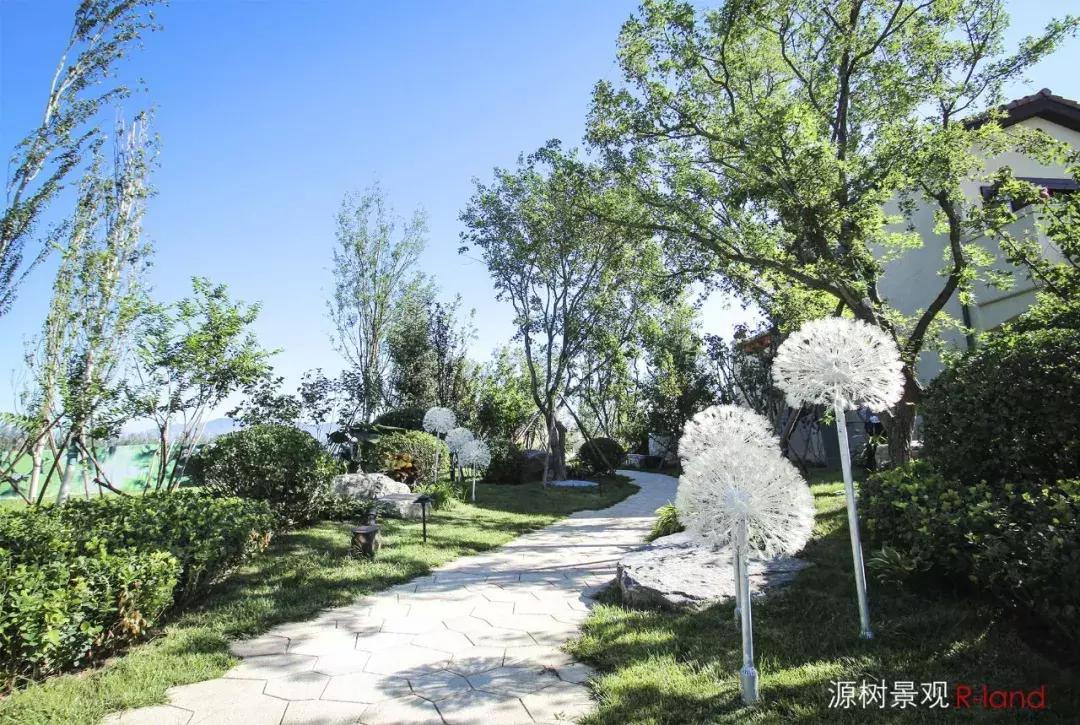 婧愭爲浣滃搧,楦垮潳钁¤悇閰掑皬闀囬珮鎬т环姣旂殑閫夋嫨