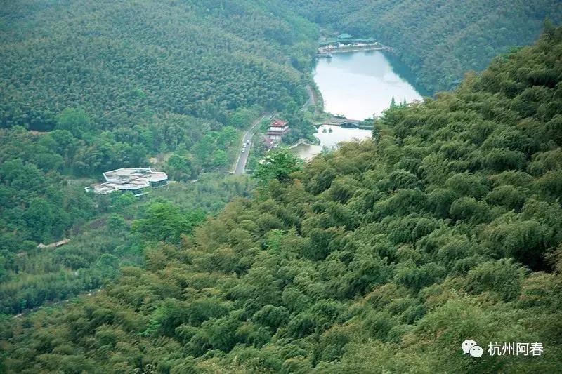 神游世外桃源完整视频,神游仙居景区