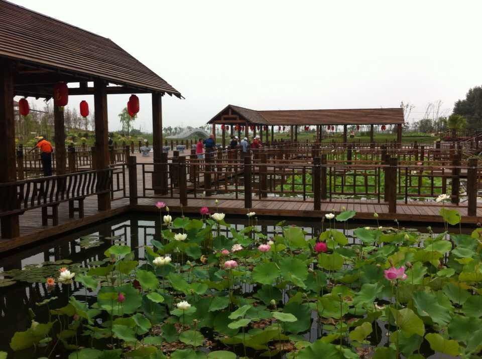 铁岭今天的视频,今日辽宁铁岭最新消息