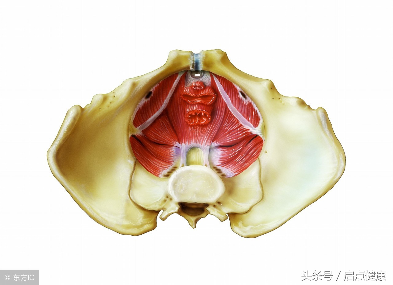 产后让女性从天堂到地狱