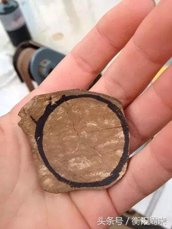 椰子如何处理能长久保存,椰子如何处理干净