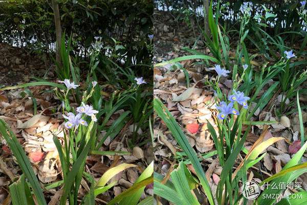 魅族15发布会全过程,魅族15最新发布会时间