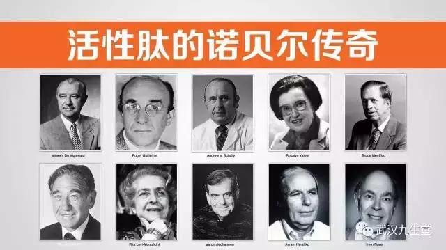 科学家探索生命秘密,科学家解释生命的终极奥秘