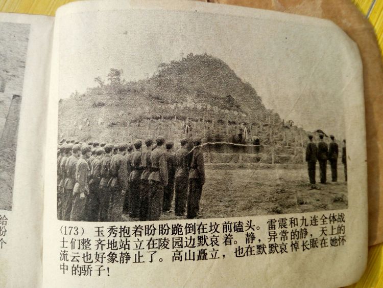 收藏的乐趣在哪里,收藏的乐趣优秀作文