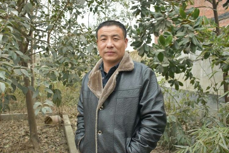 收藏的乐趣在哪里,收藏的乐趣优秀作文