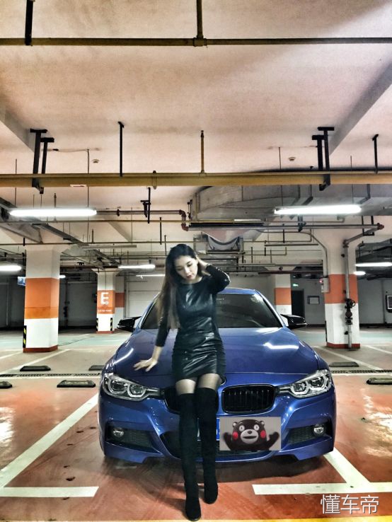 f30在3系的地位,f303系