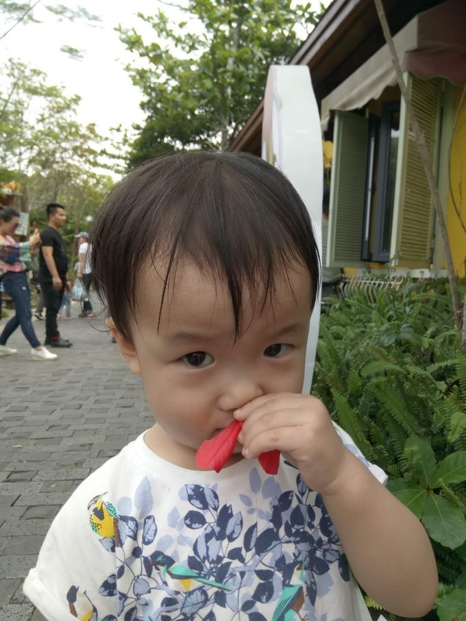 碧海蓝天椰风海韵旅行,碧海蓝天三亚亲子游攻略