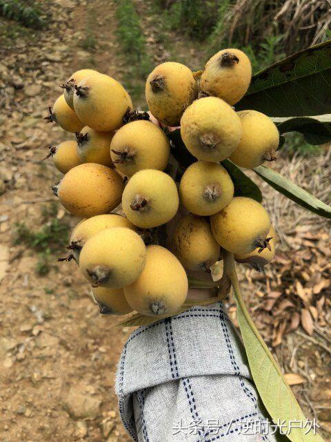 三叠井国家森林公园之旅