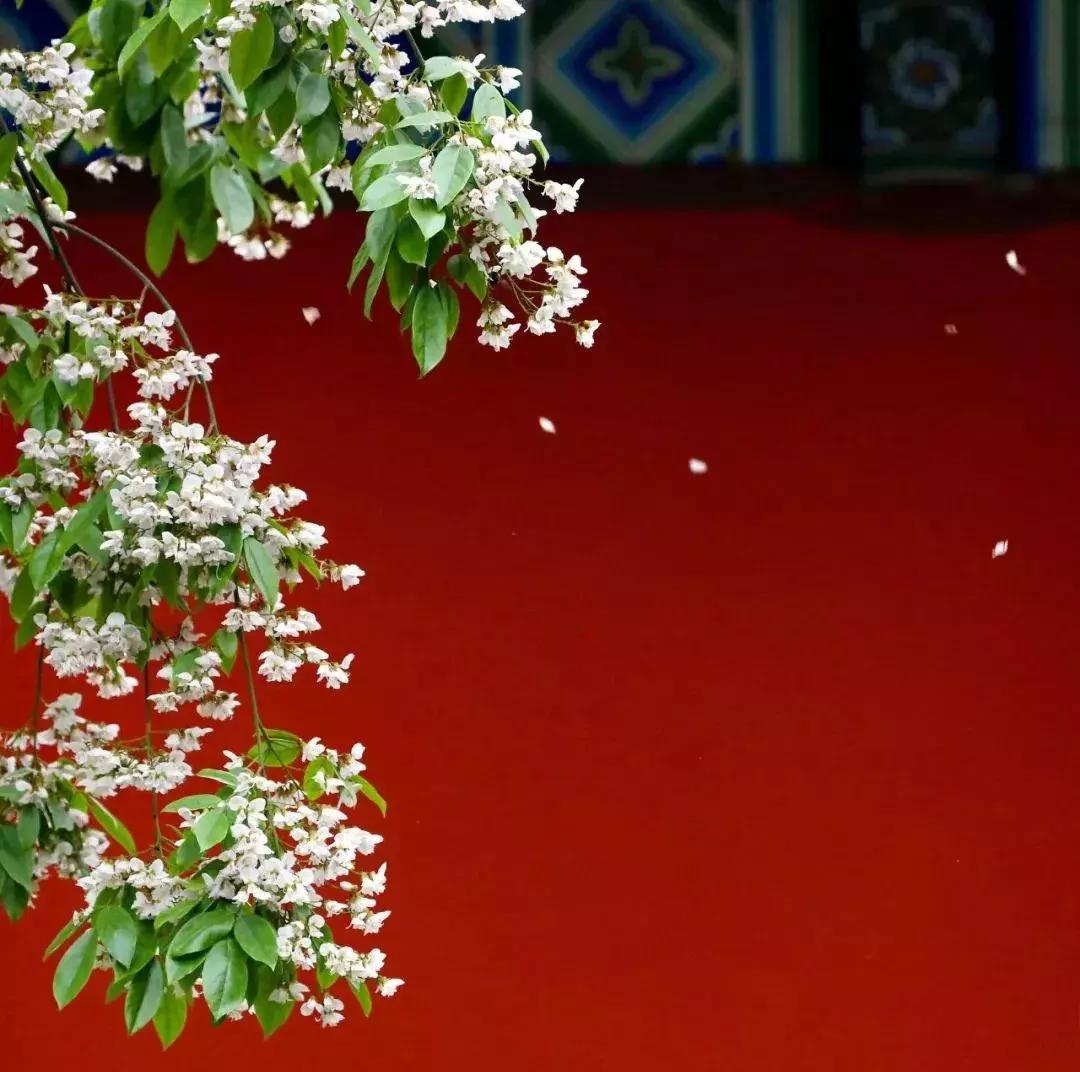 武侯，有1000种方式让你爱上！