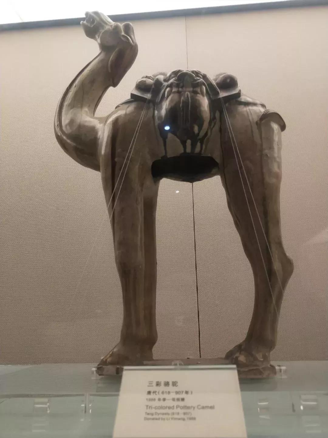 成都五日游最佳攻略及费用自由行,成都三日游最佳攻略超详细