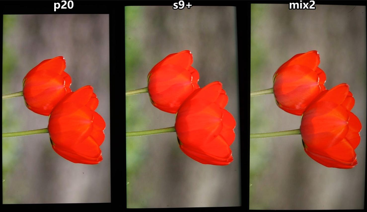 叶秋评测小米10至尊,叶秋评测的微博