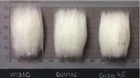 浴巾用纯棉的好还是珊瑚绒的好,浴巾是珊瑚绒的好还是棉的好