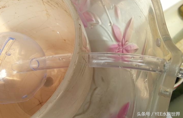 小水泵自制鱼缸过滤系统,小水泵创意作品