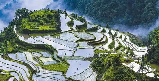 浙江丽水最值得去的地方,丽水旅游景点和美食