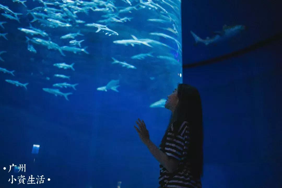 巴南海洋公园一日游攻略 (香港海洋公园游玩攻略)