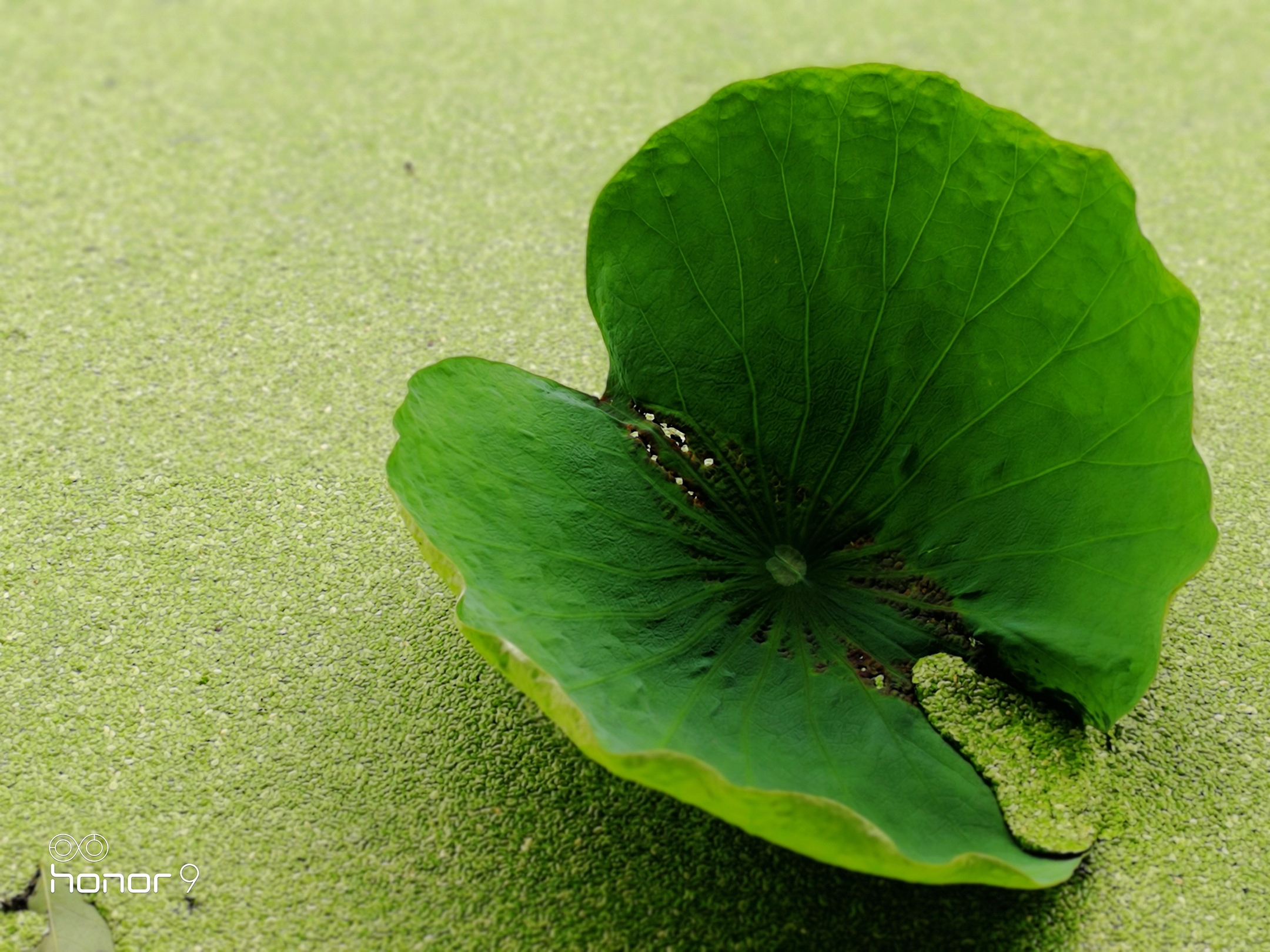 3倍和5倍光学变焦哪个更实用,2倍光学变焦用处大不大