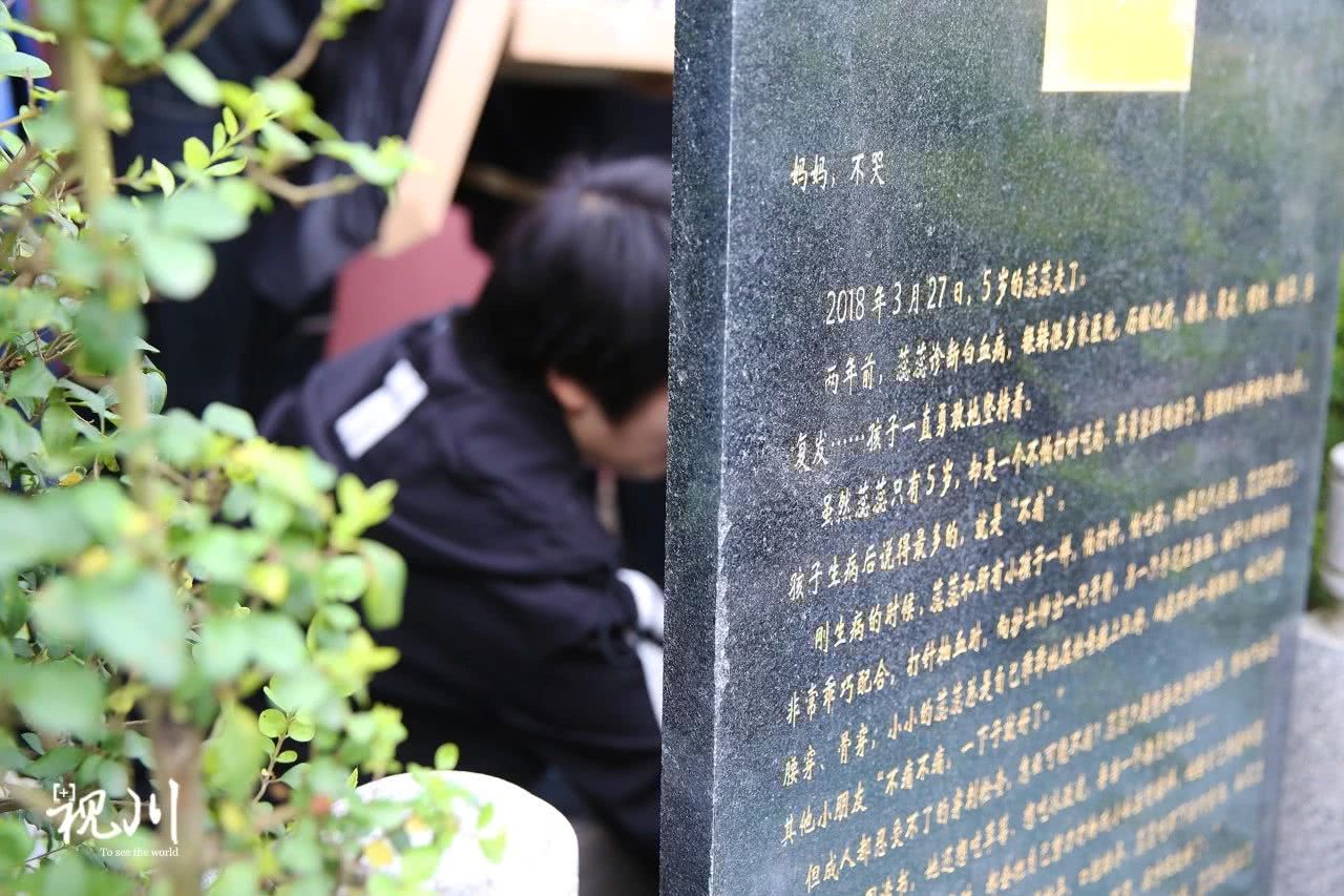 气球葬礼母亲,气球墓园