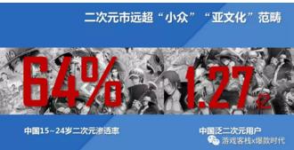 二次元游戏市场分析报告,二次元游戏用户分析报告
