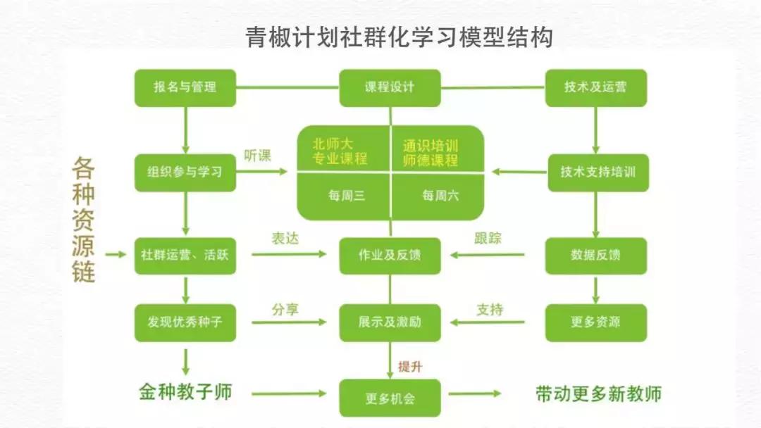 中小学乡村美育改革创新案例范文,社会改造典型案例农业合作社