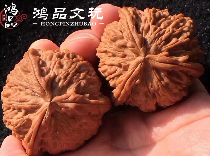 文玩核桃有收藏价值的品种,最有价值的文玩核桃