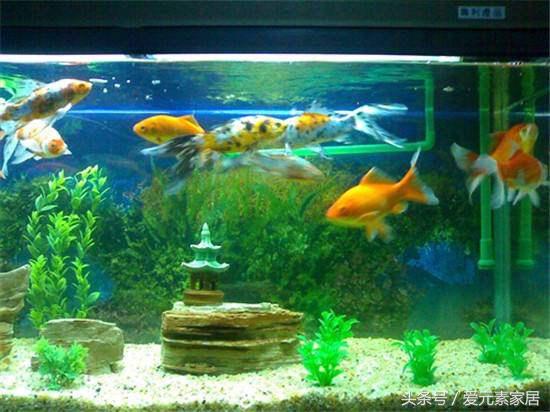 为什么家里经常有人生病,为什么在家里住这么容易生病