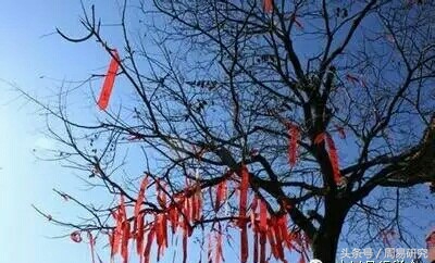 大六壬象意解读视频,大六壬地理学