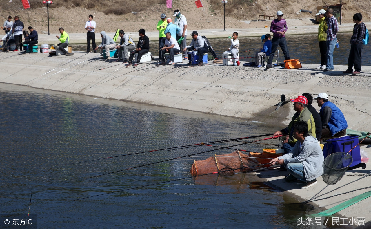 农村垂钓鱼塘前景如何,20亩鱼塘做垂钓园能挣钱吗