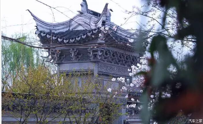 东南dx3自驾游,江浙寻花事